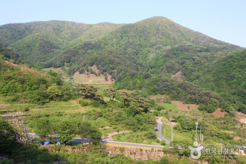 智異山國立公園 (1/11)