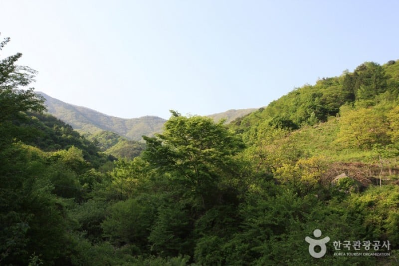 智異山國立公園 (3/11)