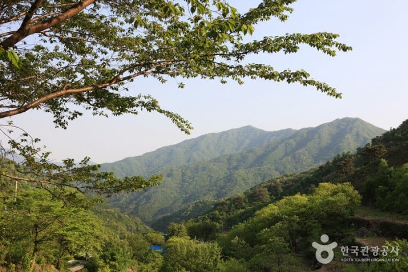 智異山國立公園 (4/11)