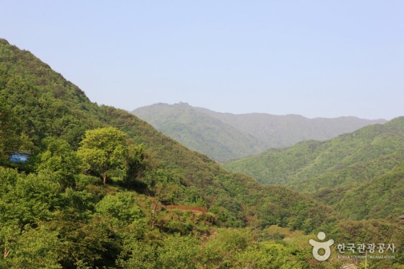 智異山國立公園 (5/11)