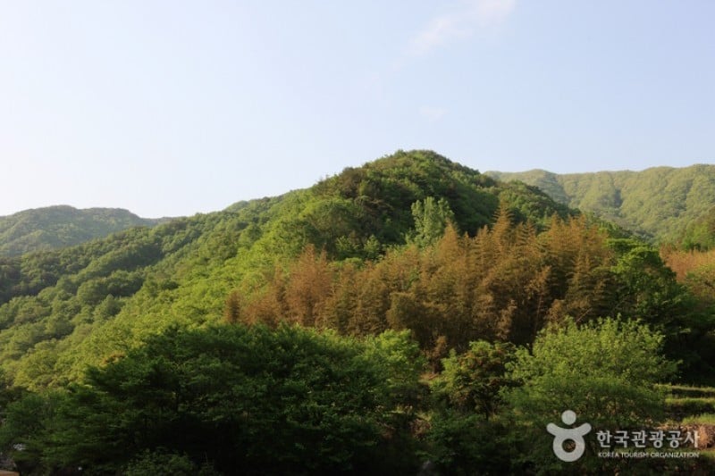 智異山國立公園 (6/11)