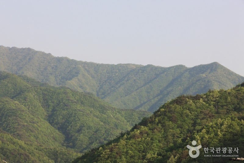 智異山國立公園 (7/11)