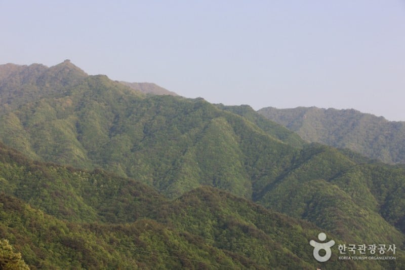 智異山國立公園 (8/11)
