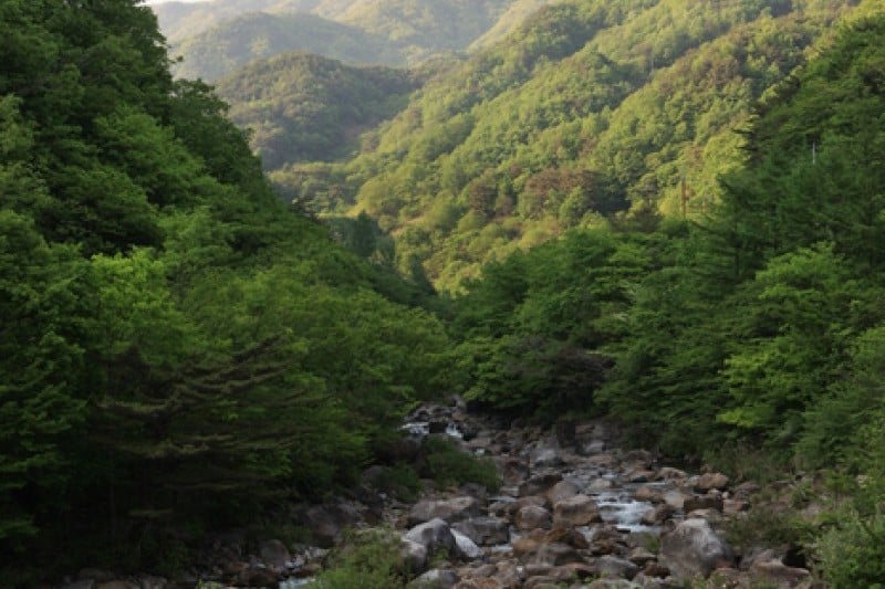 智異山國立公園 (9/11)