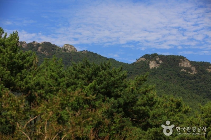 彌勒山 (5/6)
