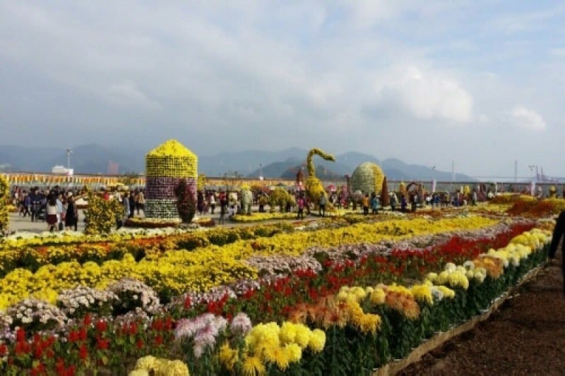 昌原馬山菊花節