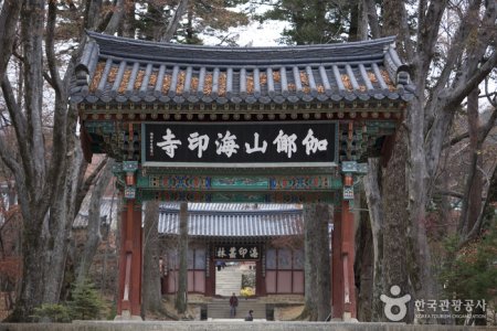 海印寺山寺體驗