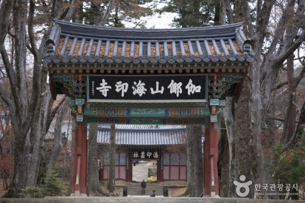 海印寺山寺體驗