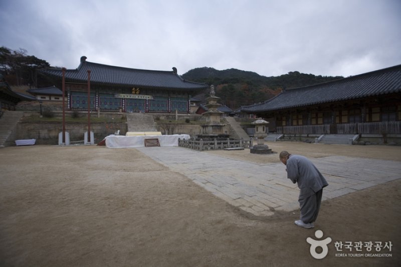海印寺山寺體驗 (2/4)