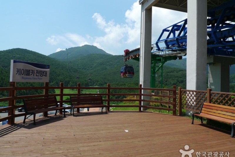 閑麗水道觀景纜車 (3/33)