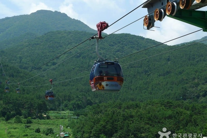 閑麗水道觀景纜車 (4/33)