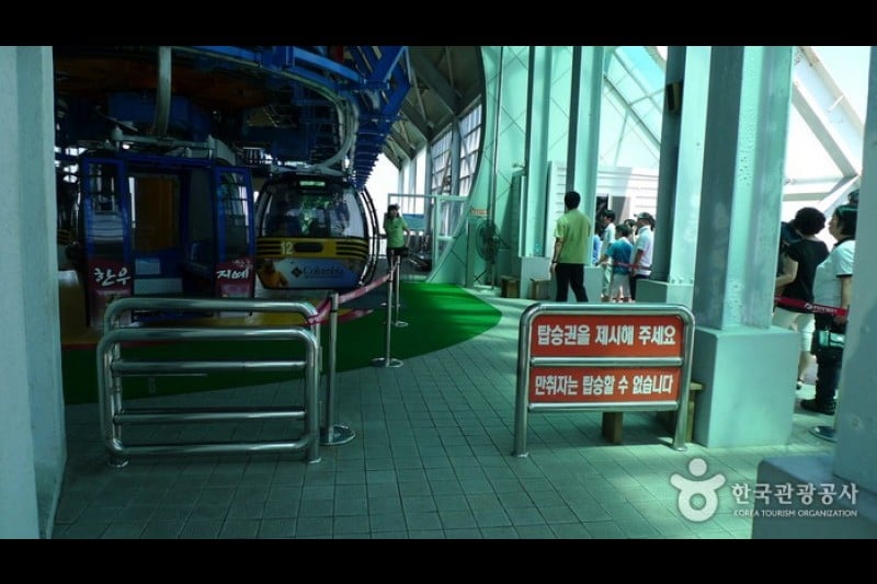 閑麗水道觀景纜車 (11/33)