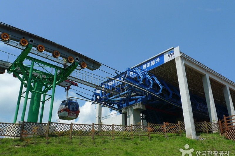 閑麗水道觀景纜車 (20/33)