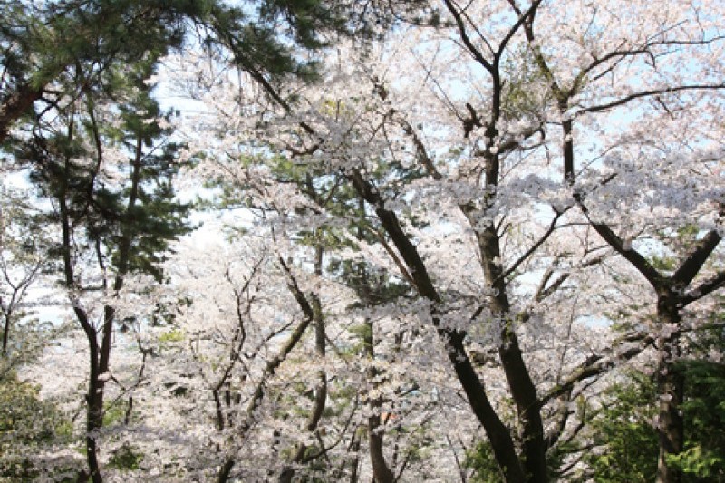 帝皇山公園