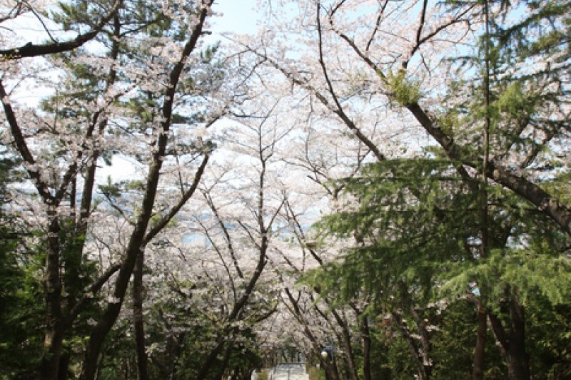 帝皇山公園
