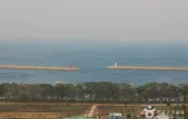南海勿巾里防潮魚付林