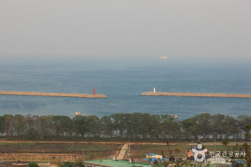 南海勿巾里防潮魚付林 (1/25)