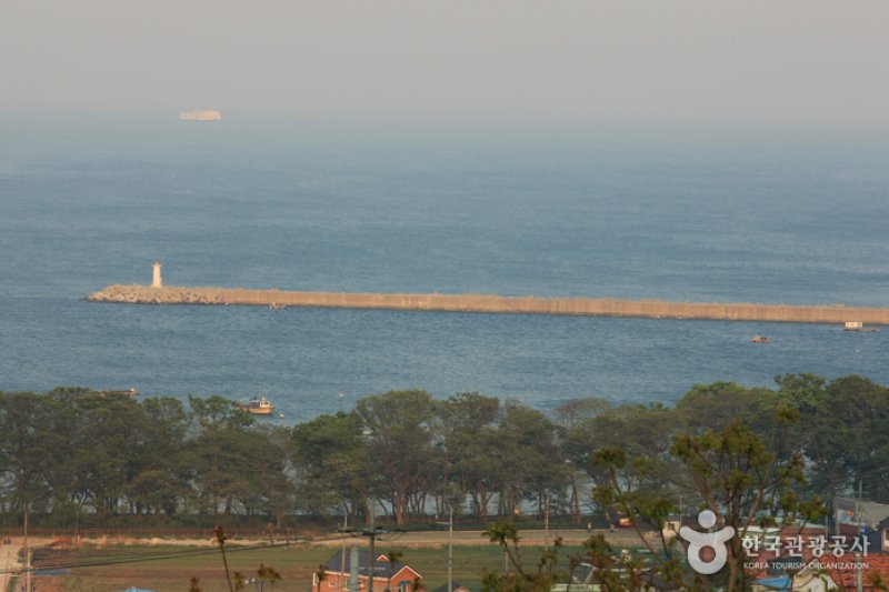 南海勿巾里防潮魚付林 (3/25)