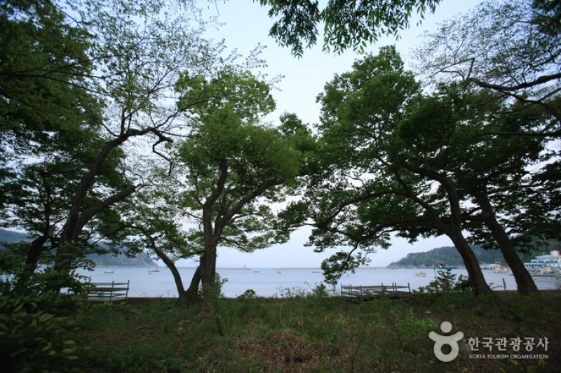 南海勿巾里防潮魚付林 (12/25)