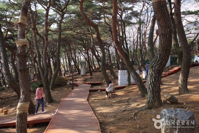 長福山雕刻公園