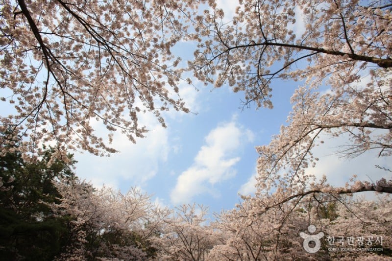 長福山雕刻公園