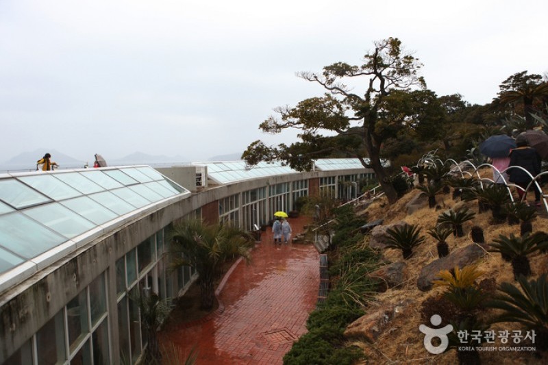 長蛇島海上公園 (6/27)