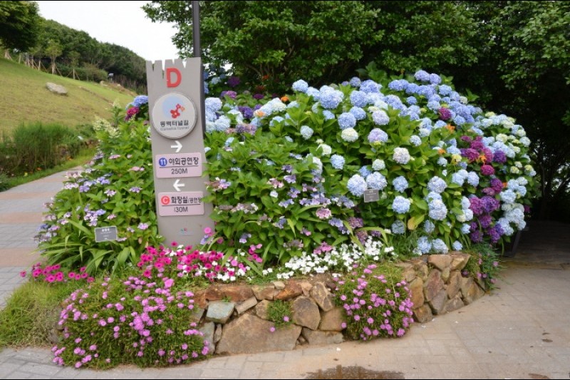 長蛇島海上公園 (15/27)