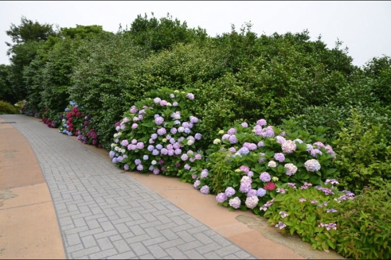 長蛇島海上公園 (16/27)