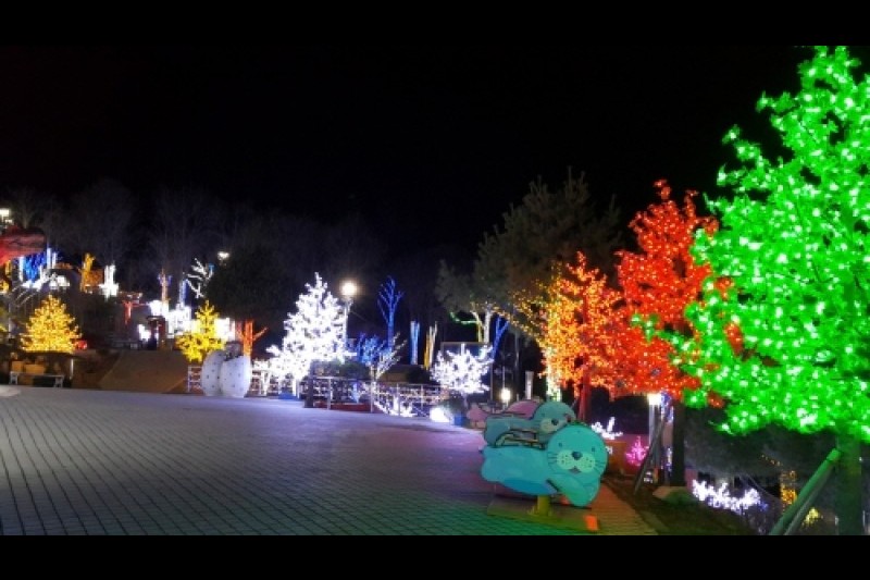 南海蝴蝶&amp;主題公園 (1/20)