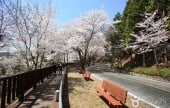 安民嶺