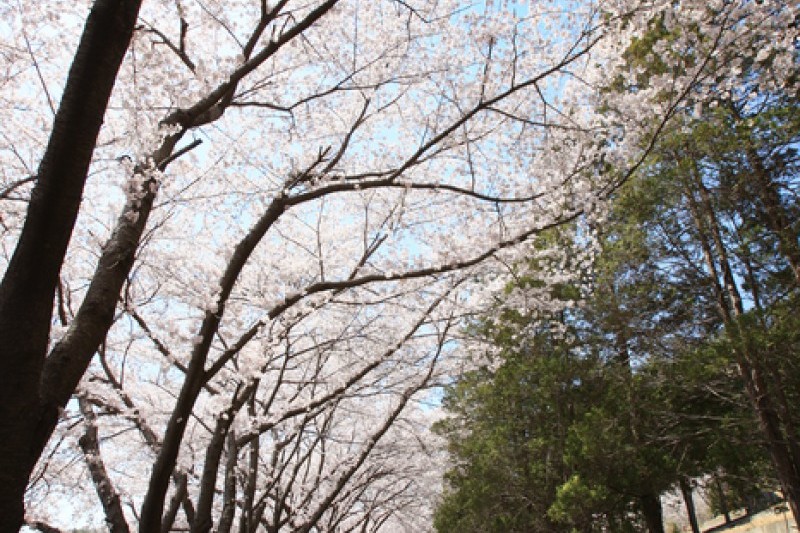 安民嶺