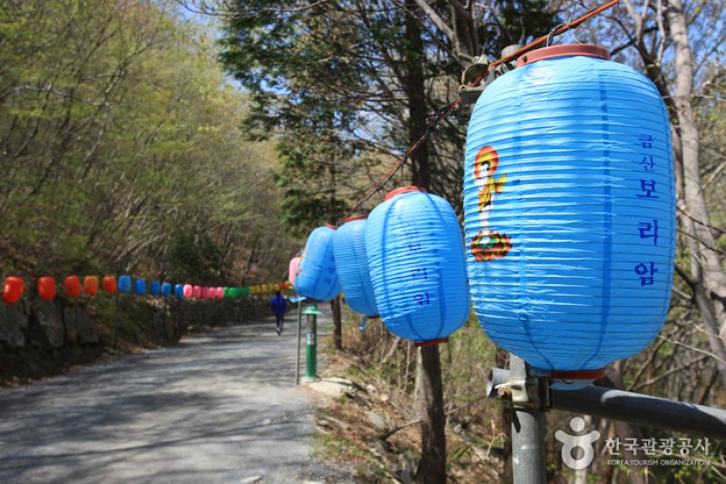 錦山菩提庵 (3/32)