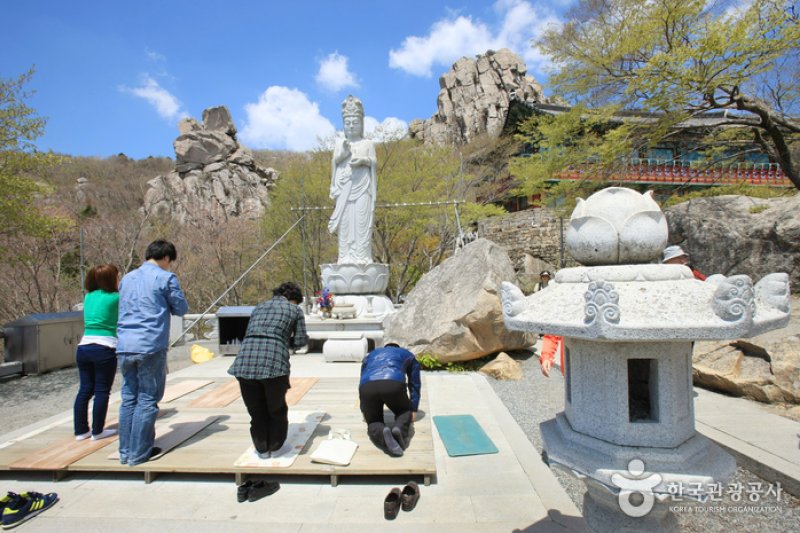 錦山菩提庵 (14/32)