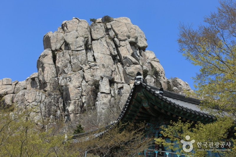 錦山菩提庵 (16/32)