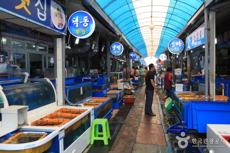 馬山魚市場 (1/7)