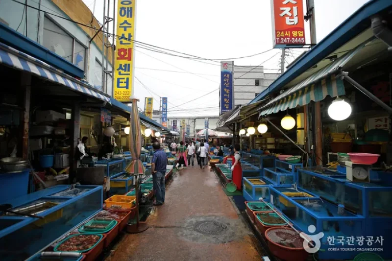 馬山魚市場 (3/7)