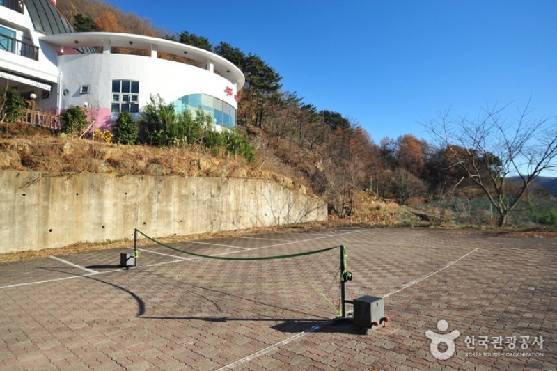 智異山景城堡渡假民宿[優秀住宿設施Goodstay] (3/14)