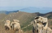 南海錦山