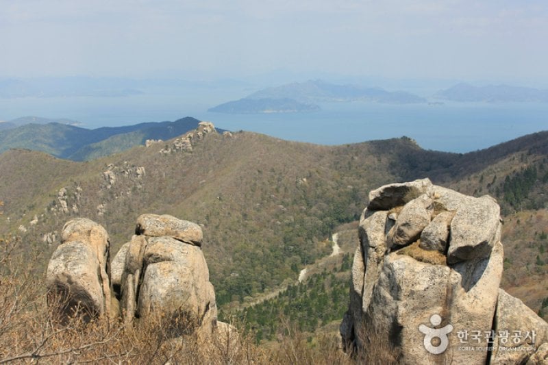 南海錦山 (1/27)