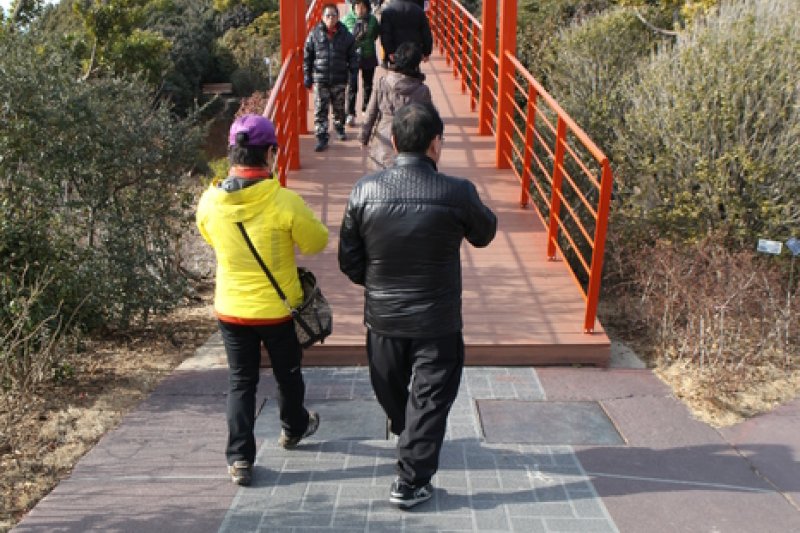 長蛇島(장사도) (25/31)