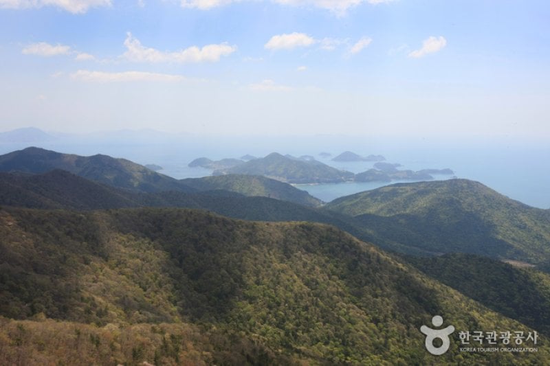 南海錦山 (5/27)
