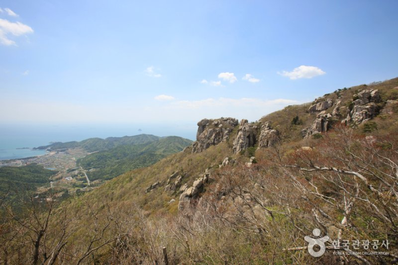 南海錦山 (7/27)