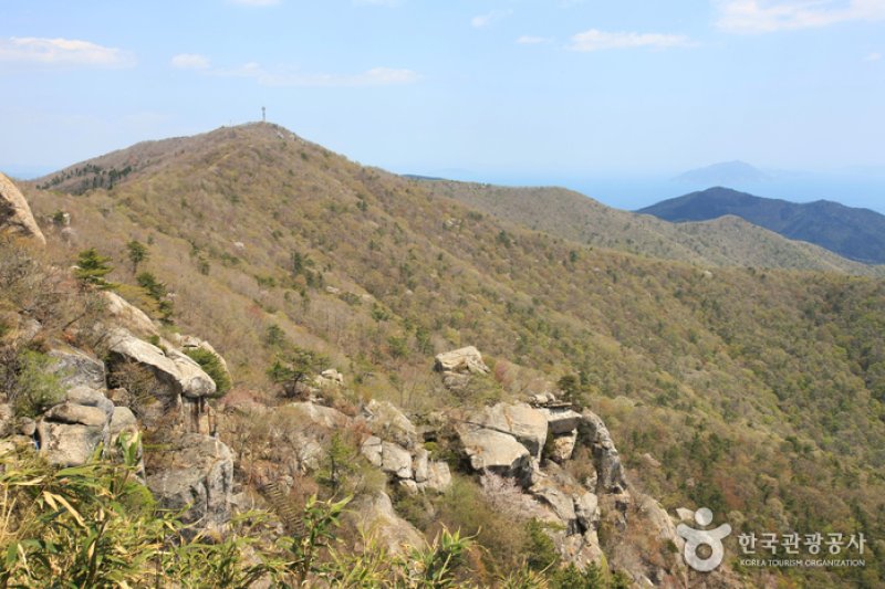 南海錦山 (8/27)
