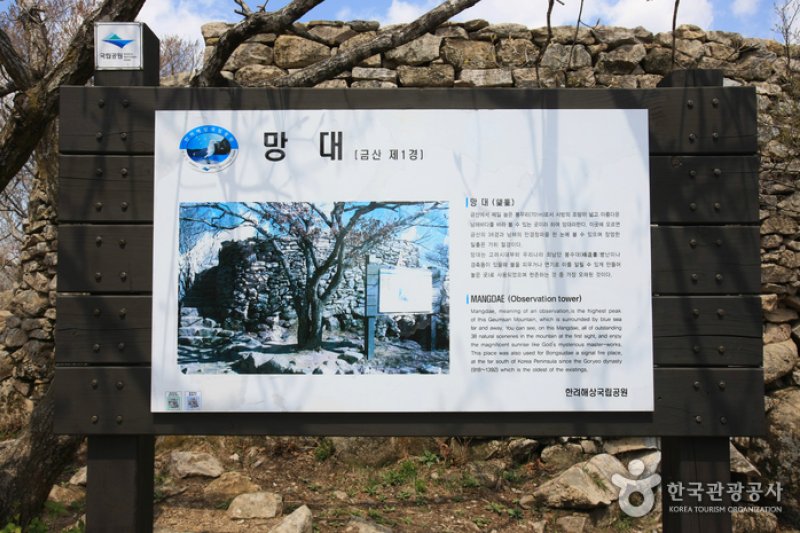 南海錦山 (11/27)