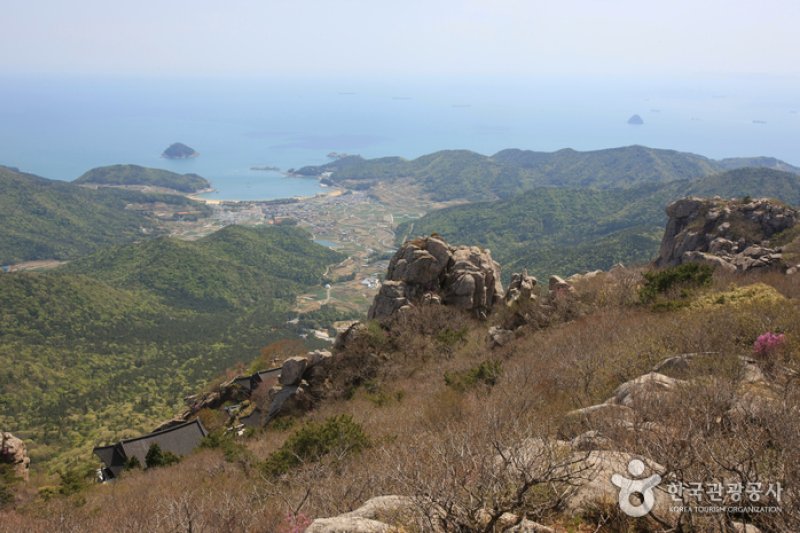 南海錦山 (21/27)