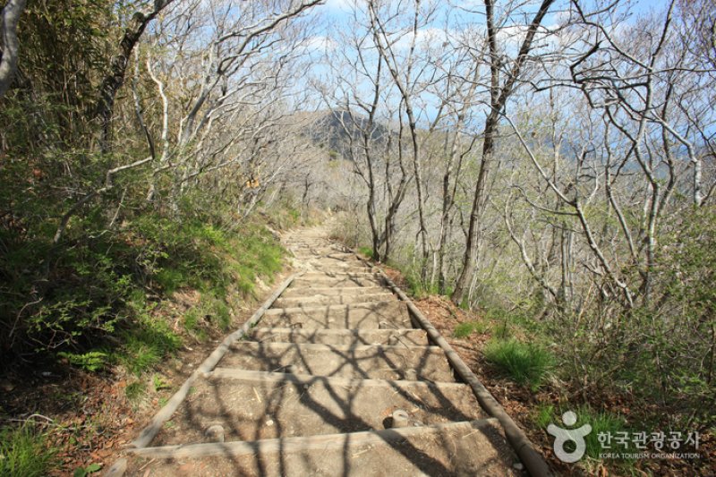 南海錦山 (24/27)