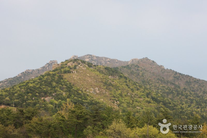 南海錦山 (27/27)