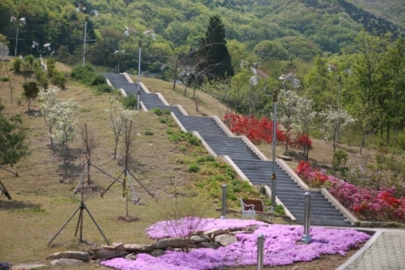南海蝴蝶&amp;主題公園 (16/20)