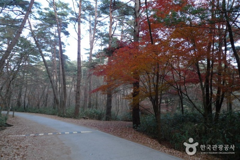 俗離山國立公園 (13/24)