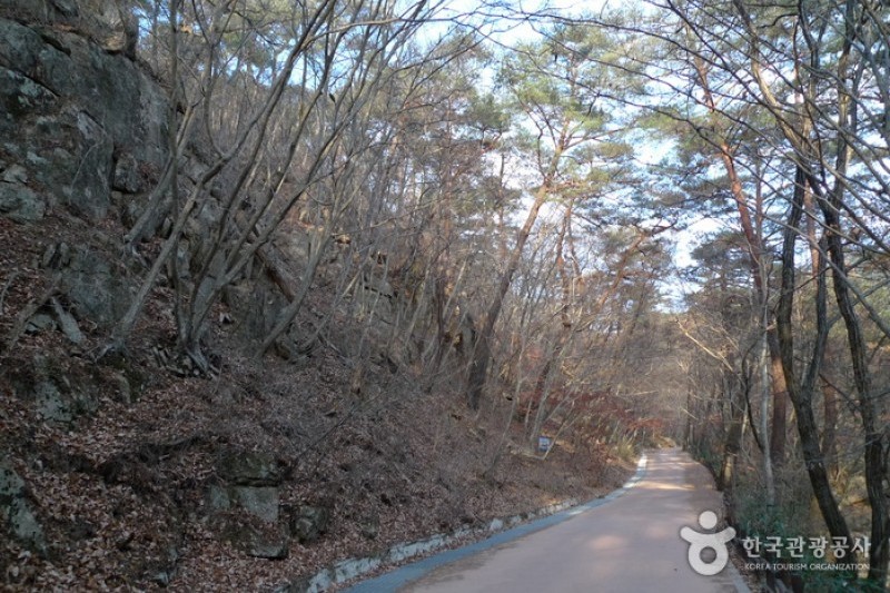 俗離山國立公園 (14/24)